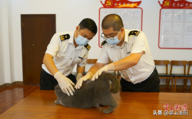 衡阳海关签发首张宠物出境“护照”