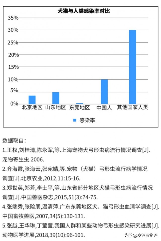 怀孕了可以养宠物吗这些数据揭秘答案